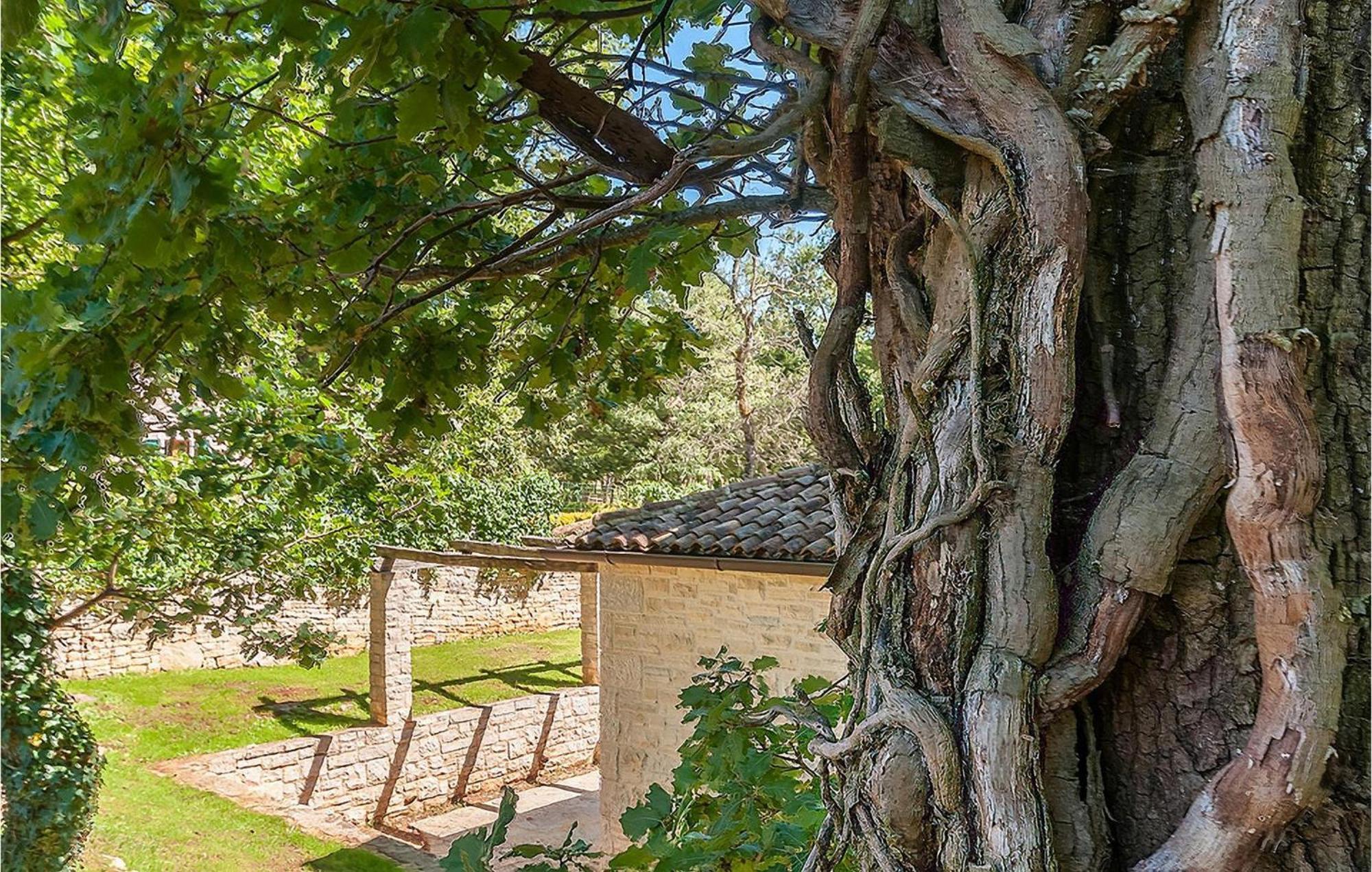 Villa Anneliese Basici Exterior photo
